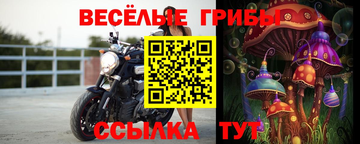 Благовещенск  Галлюциногенные грибы GOLDEN TEACHER  Вход с VPN 